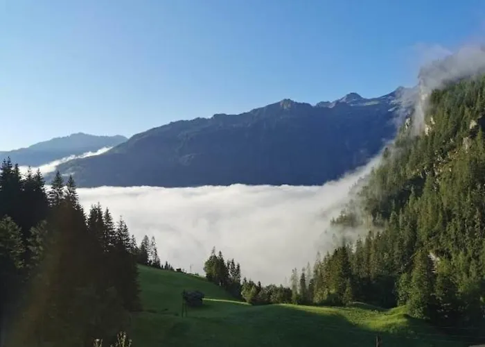 Haus Dora 4 Panoramablick Mayrhofen