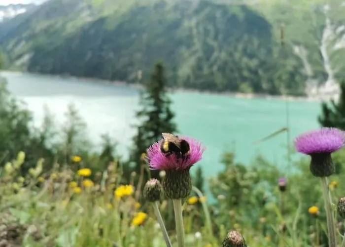 公寓 Haus Dora 4 Panoramablick 迈尔霍芬